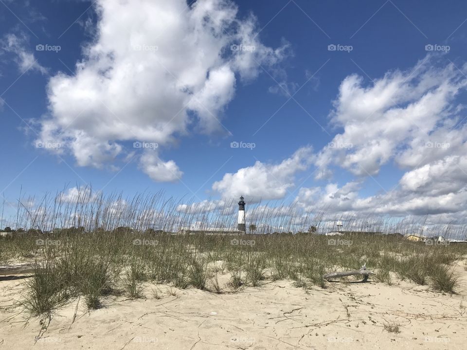 Tybee Lighthouse & dunes