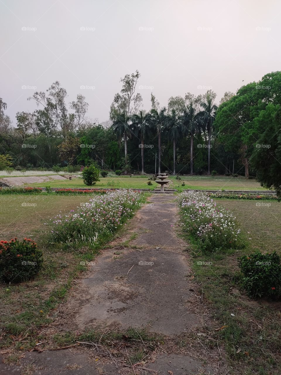Beautiful😍 garden path👣👣👣👣🌳🌴🌴🌱🌱