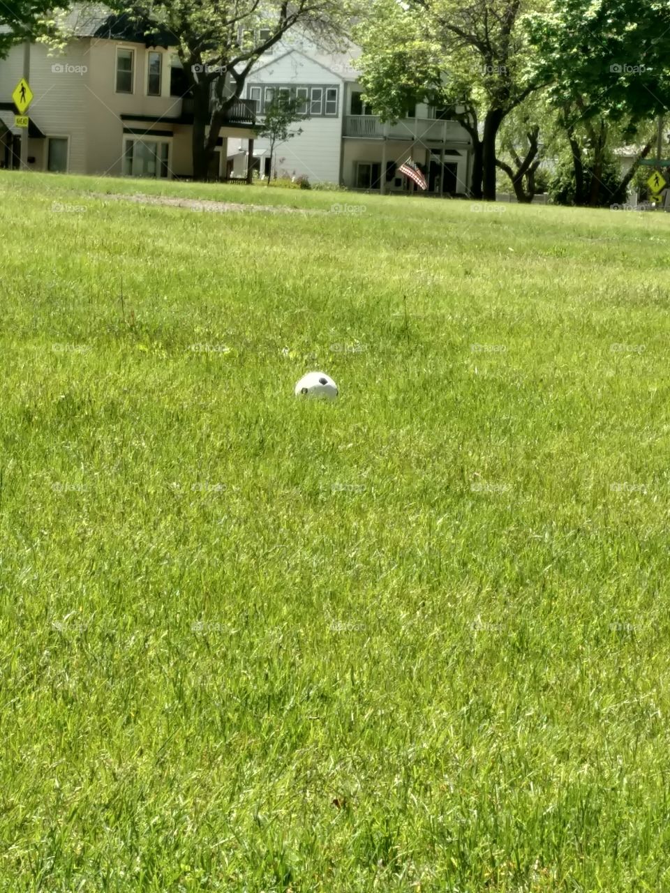 Lonely Soccer Ball Not Being Played With