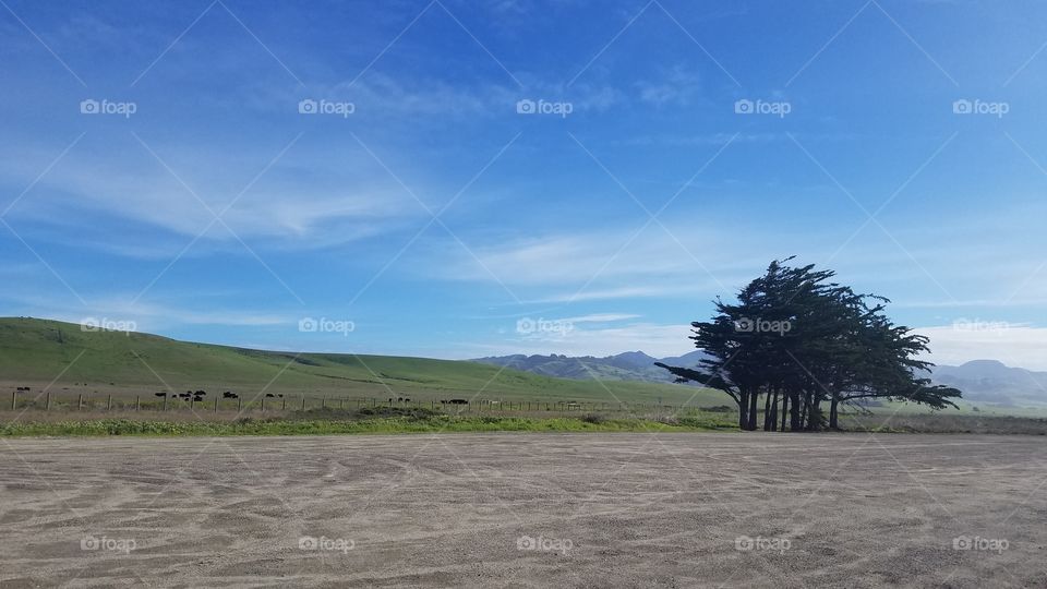 landscape with Hills and mountains