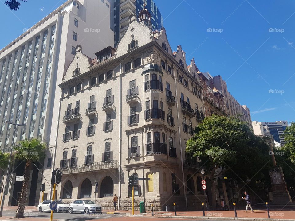 Trees in the city center