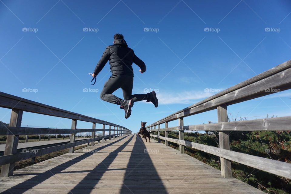 Bridge#human#dog