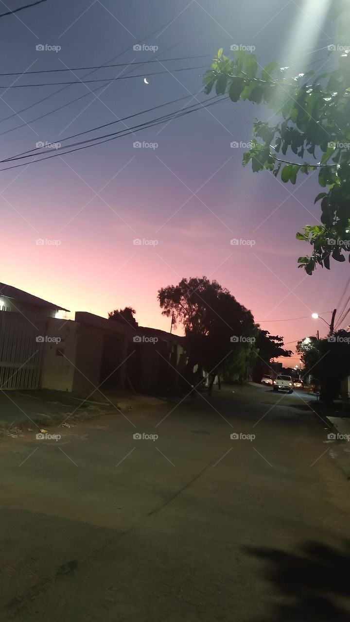 Tropical sunshine!!!