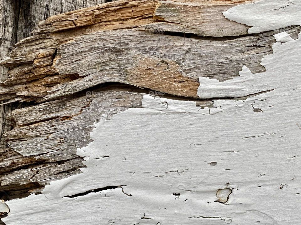 Peeling white paint on a weathered piece of wood