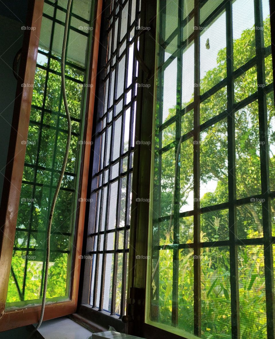 The green reflection