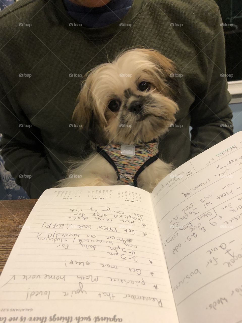 Getting the hang of this college stuff