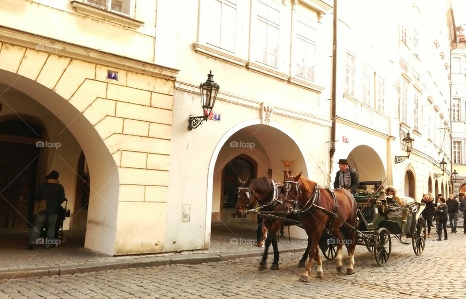 horses car in Prague