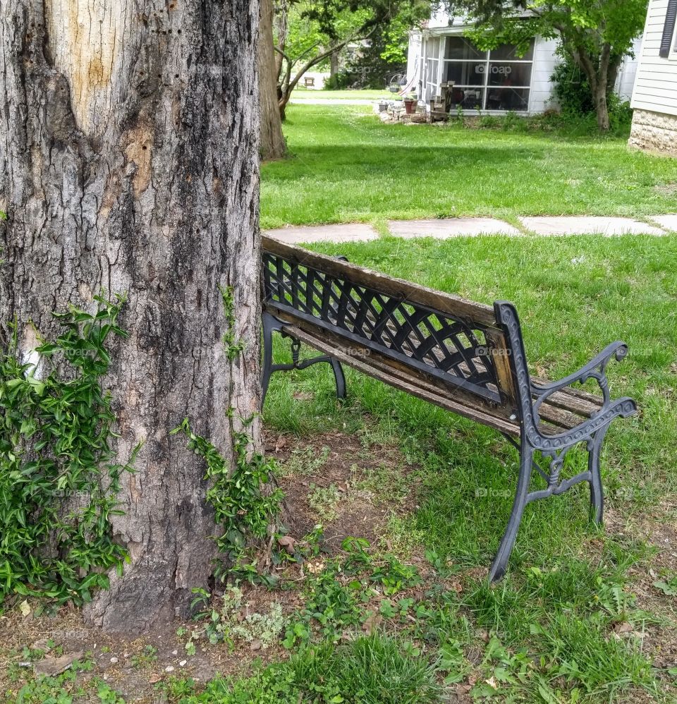 tree trunk and bench in front garden
