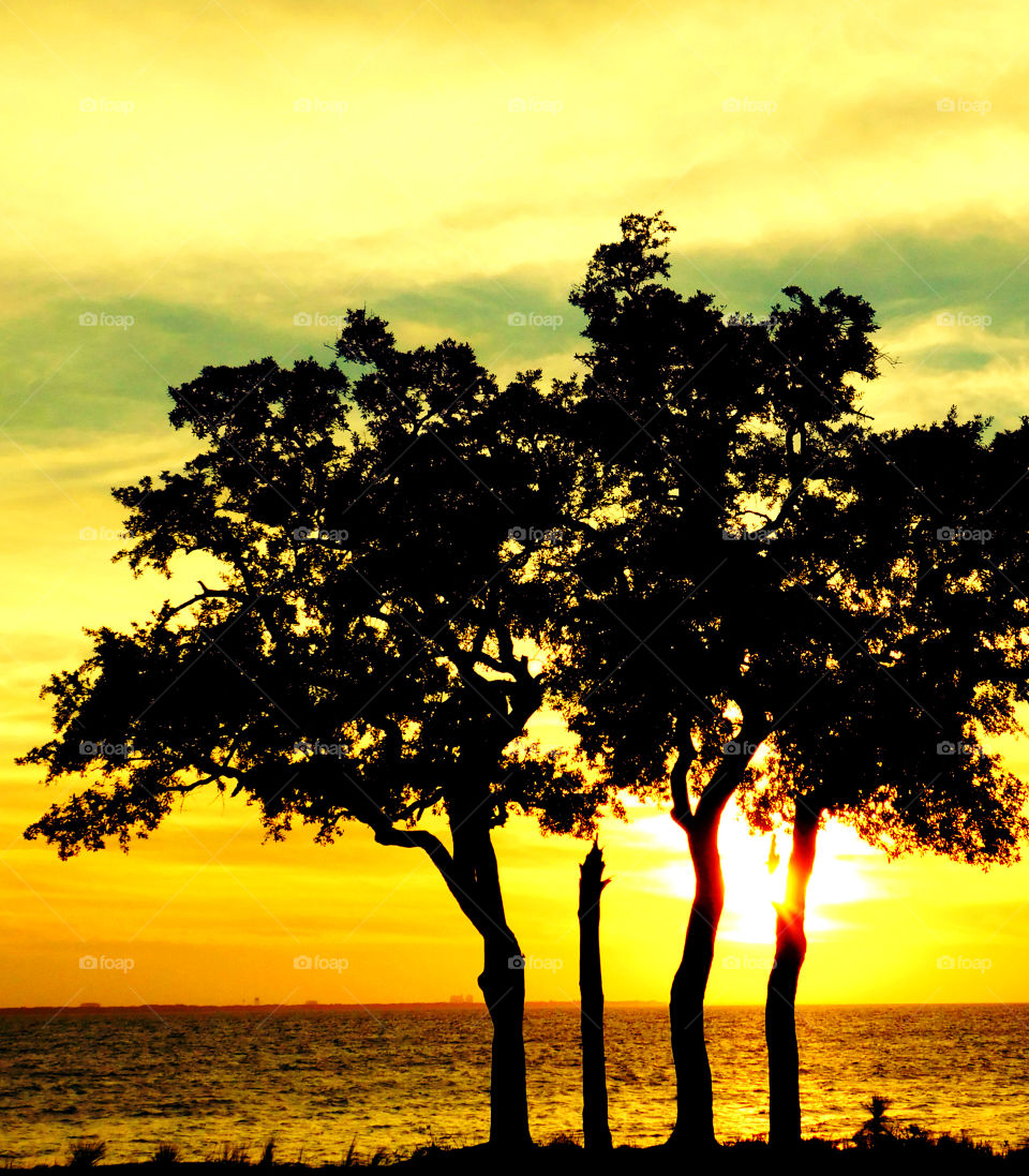 Vibrant sunset over the Chictawhatchee Bay!