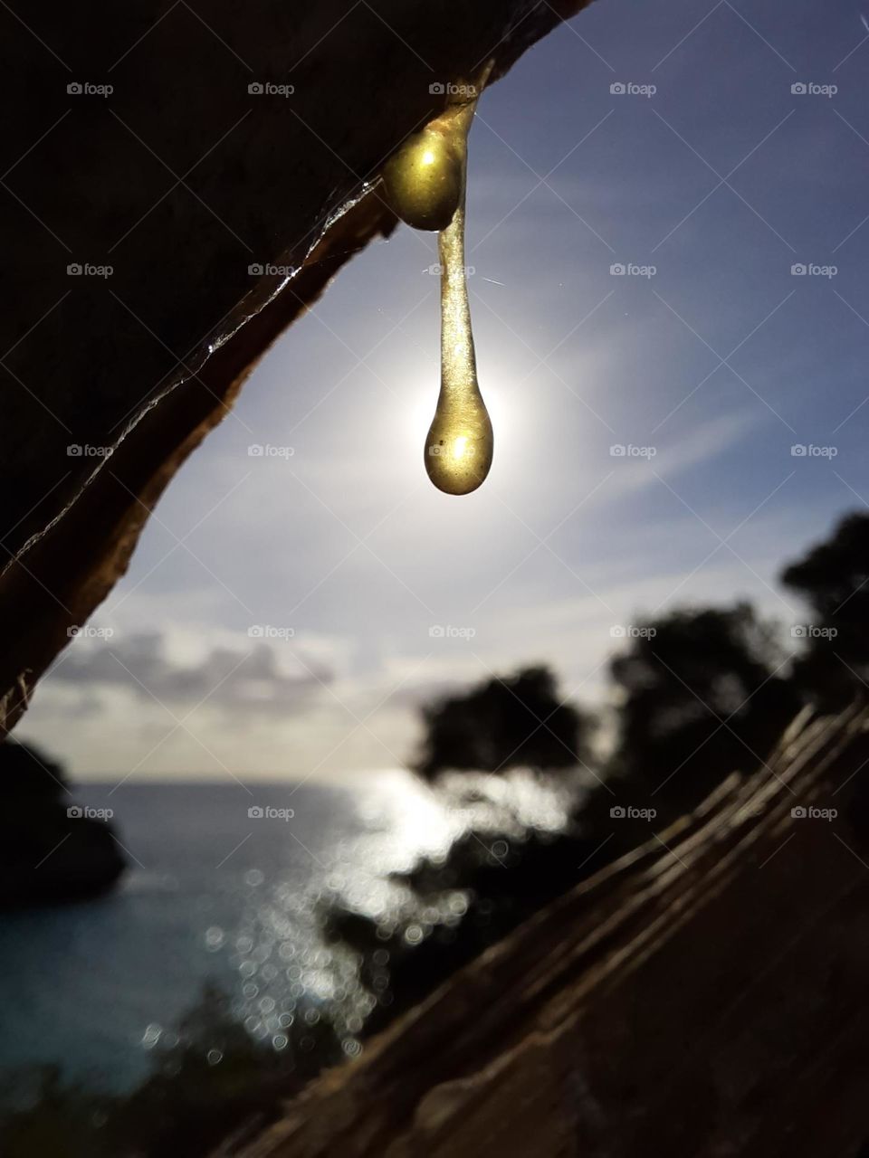 A luminous drop of resin on a morning sun is the protagonist of this maritime landscape in the background.