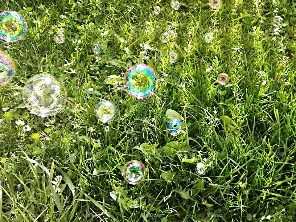 bubbles on grass