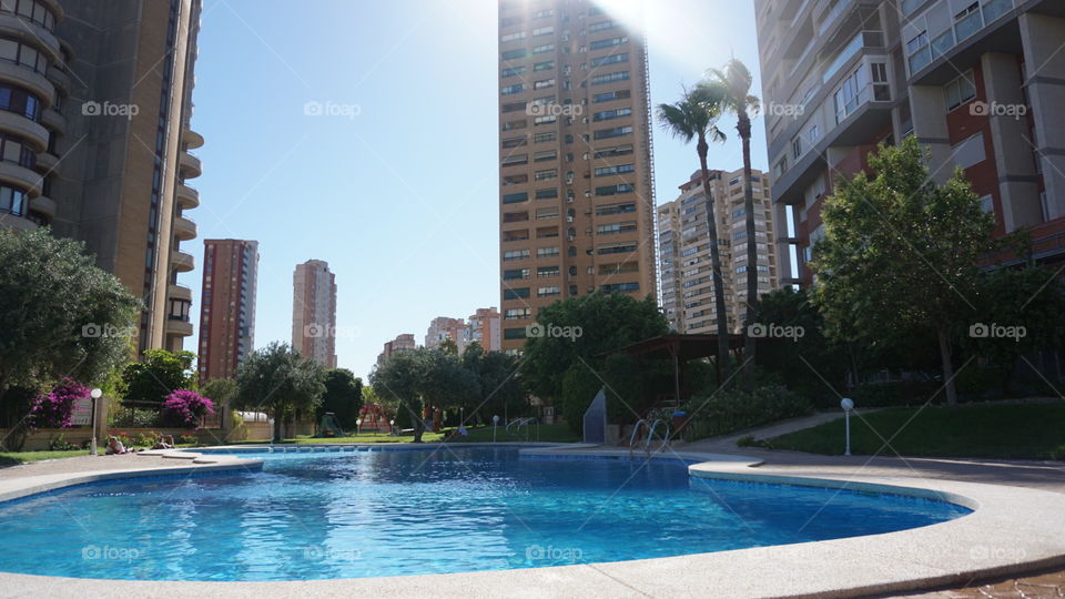 Buildings#swimmingpool#water#trees#palms#urban