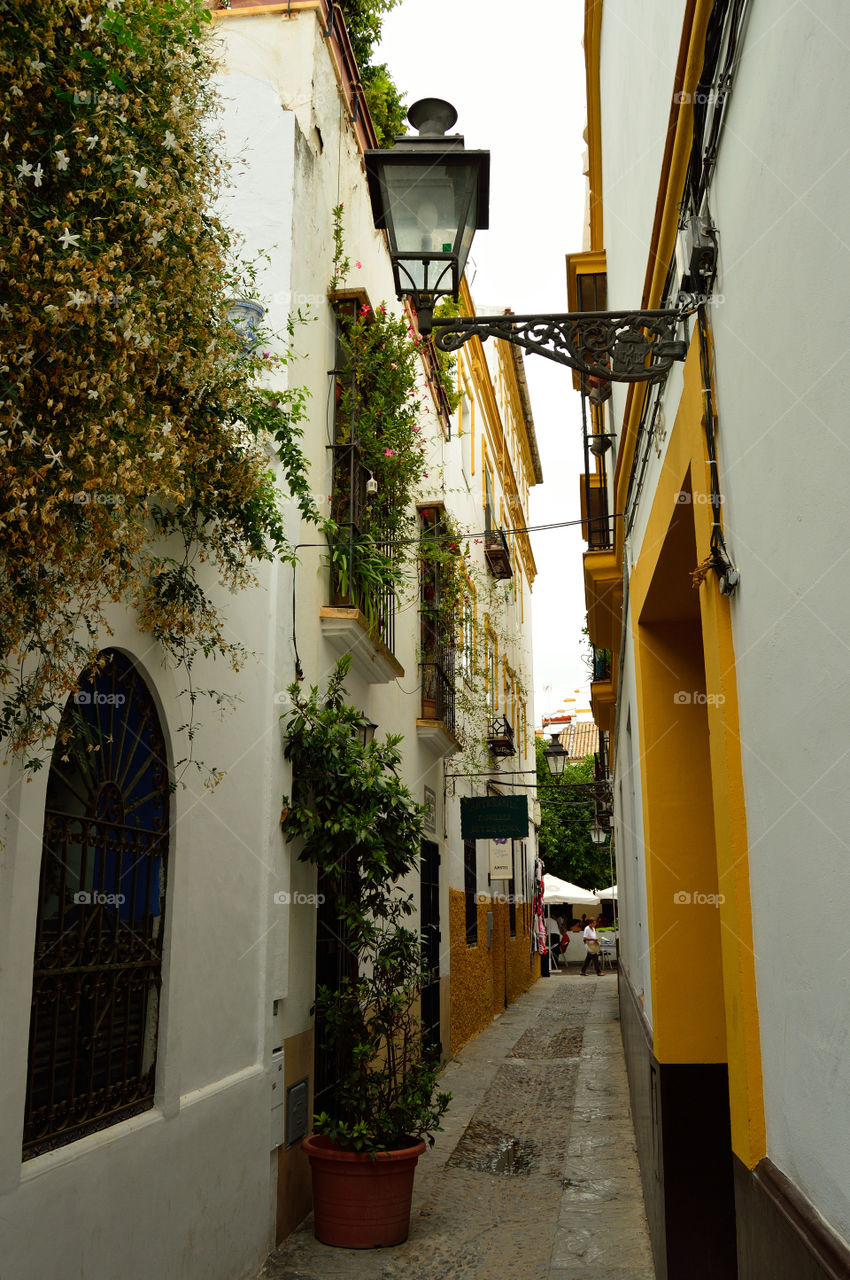 Street in Sevilla with the typical wrought iron barred windows, balconies and flower pots. Spain.
