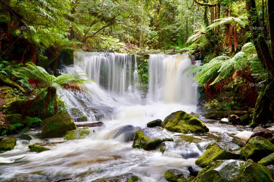 Russell Falls, Mt Field National Park, Tasmania, Australia