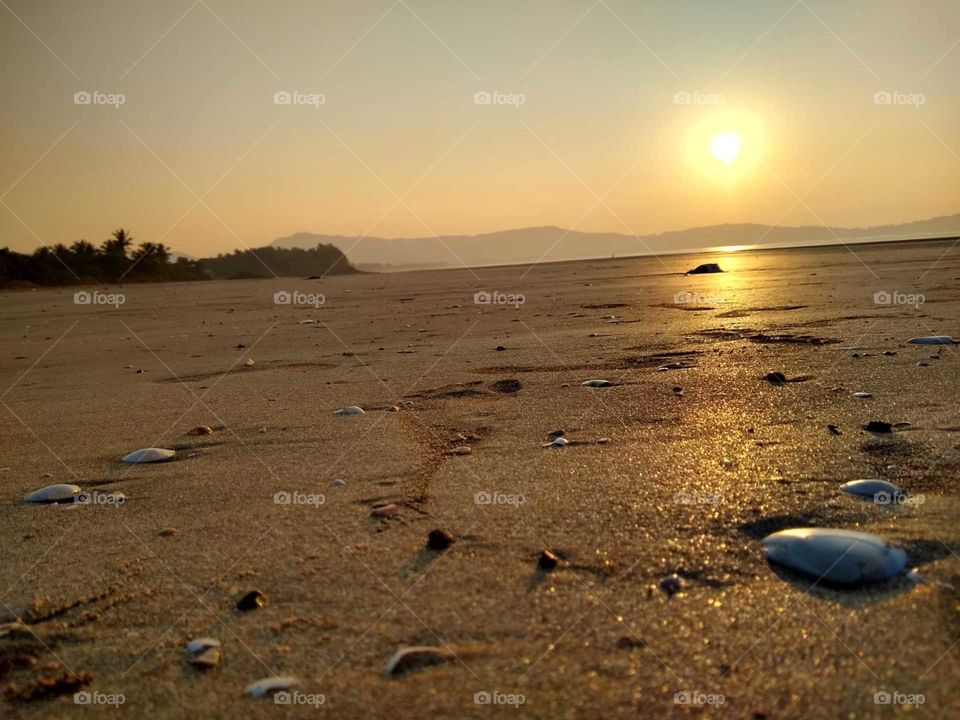 golden evening
beach view
sea
sunset
nature