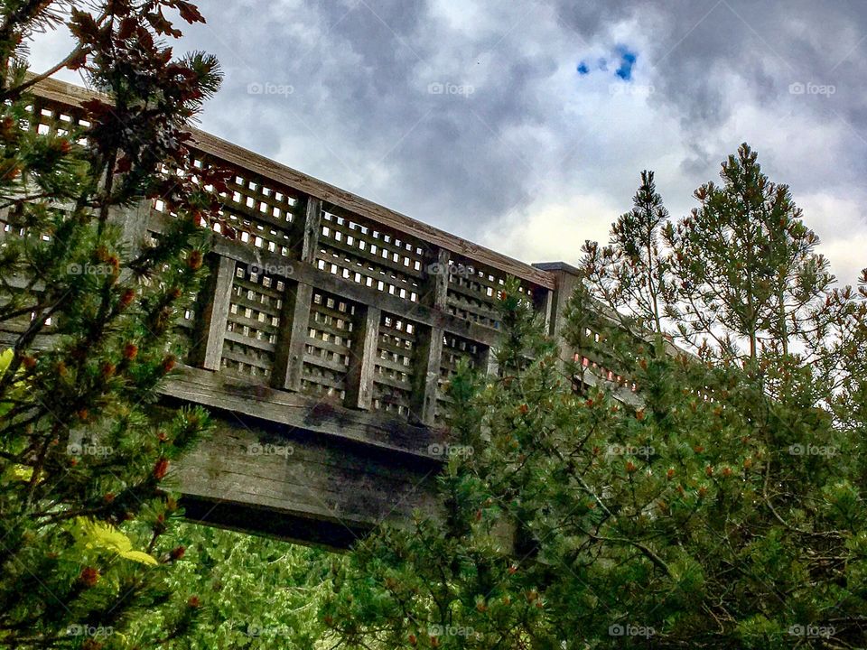 Bridge over Troubled Water