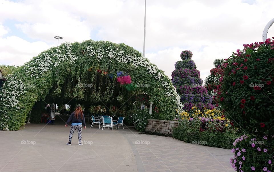 Dubai Miracle Garden