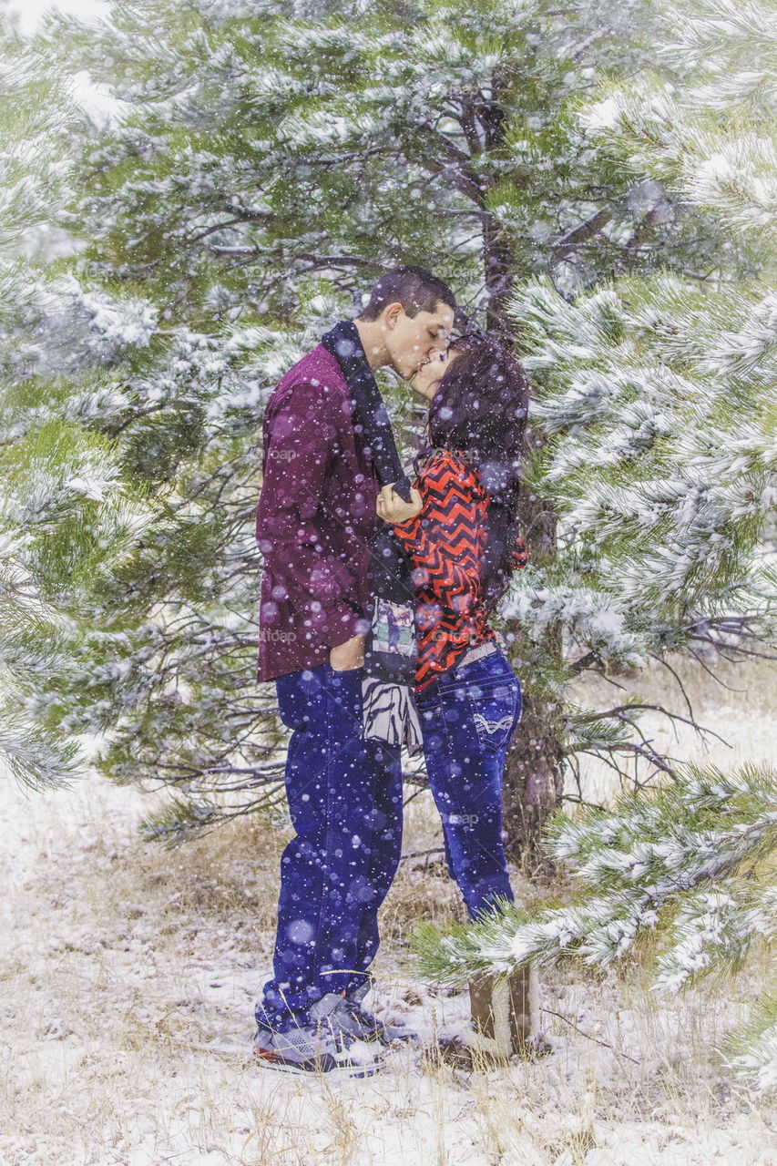 wintery love