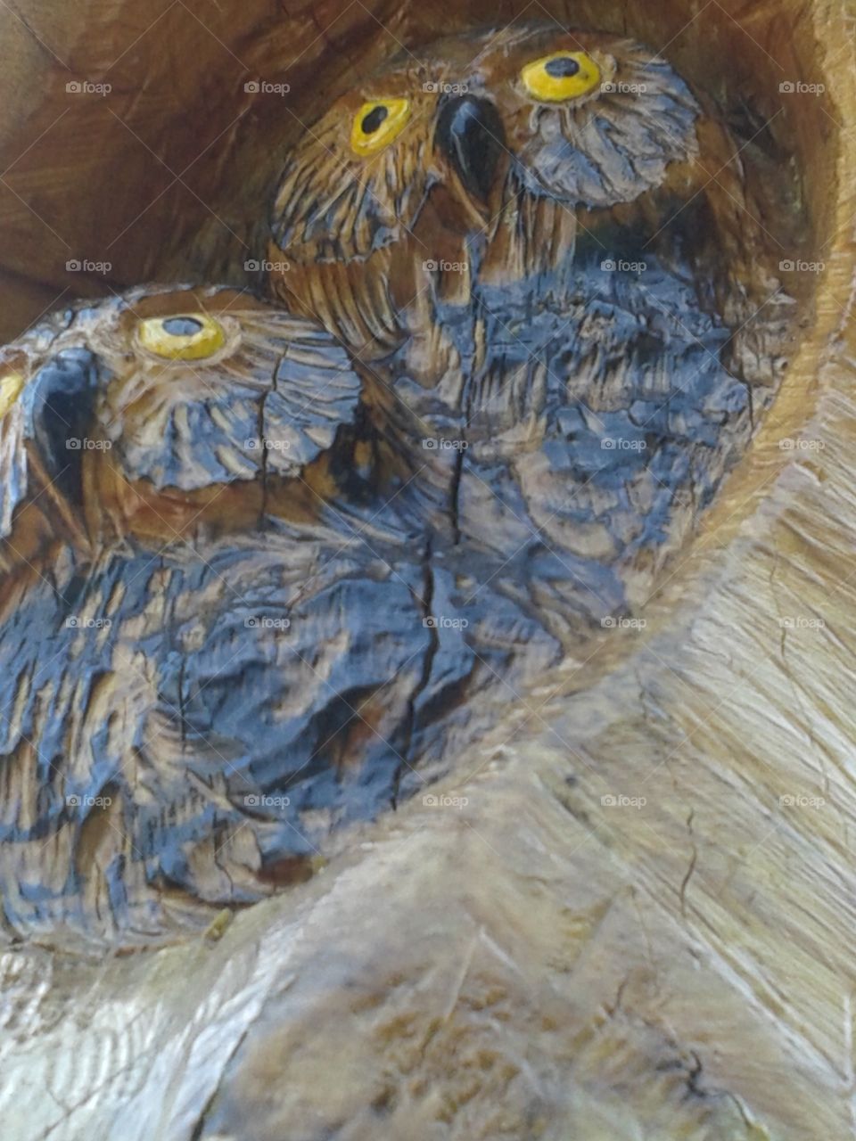 Carving in tree trunk. These owls are part of a trunk sculpture that an old woman was retouching.