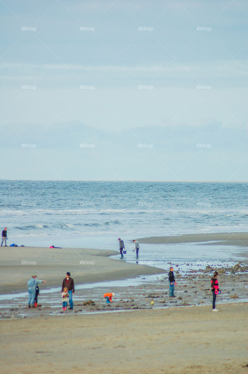 People At The Beach Of Texel The Netherlands