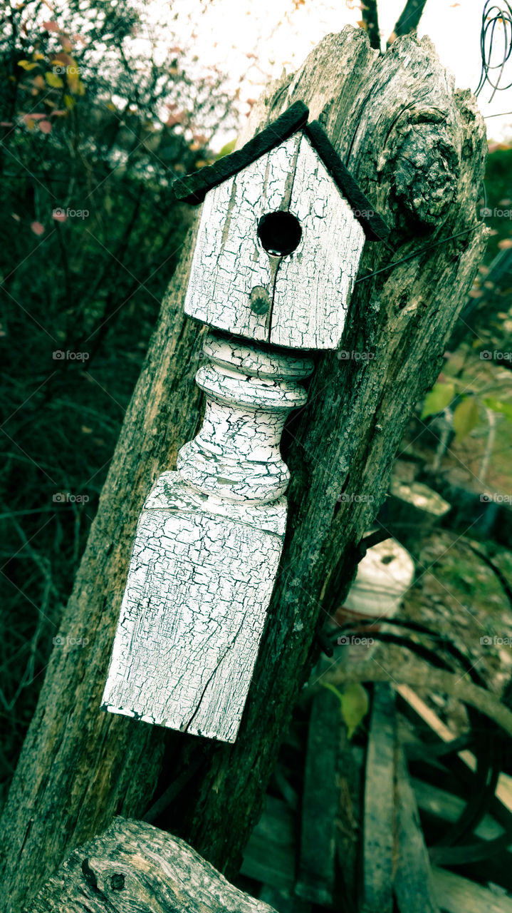 birdhouse