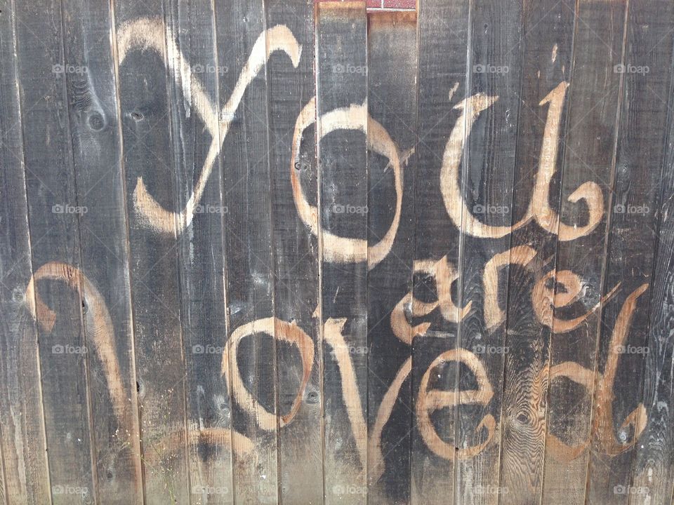 This is in the alleyway behind my apartment. It makes me smile everytime. 