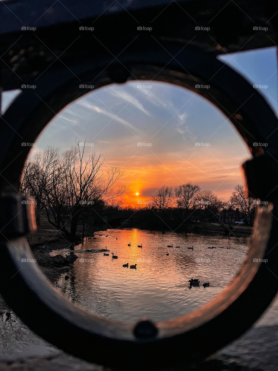 Lake river water duck wildlife no people phone photo pic picture sunset sunsetting through hole different interesting 
