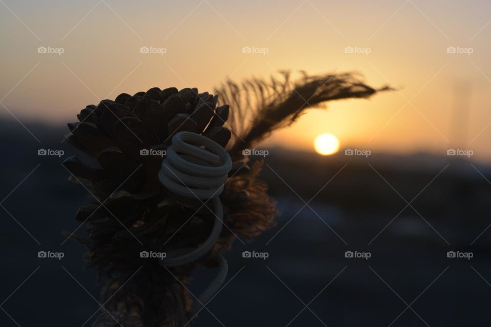 Sunsets are a magical sight