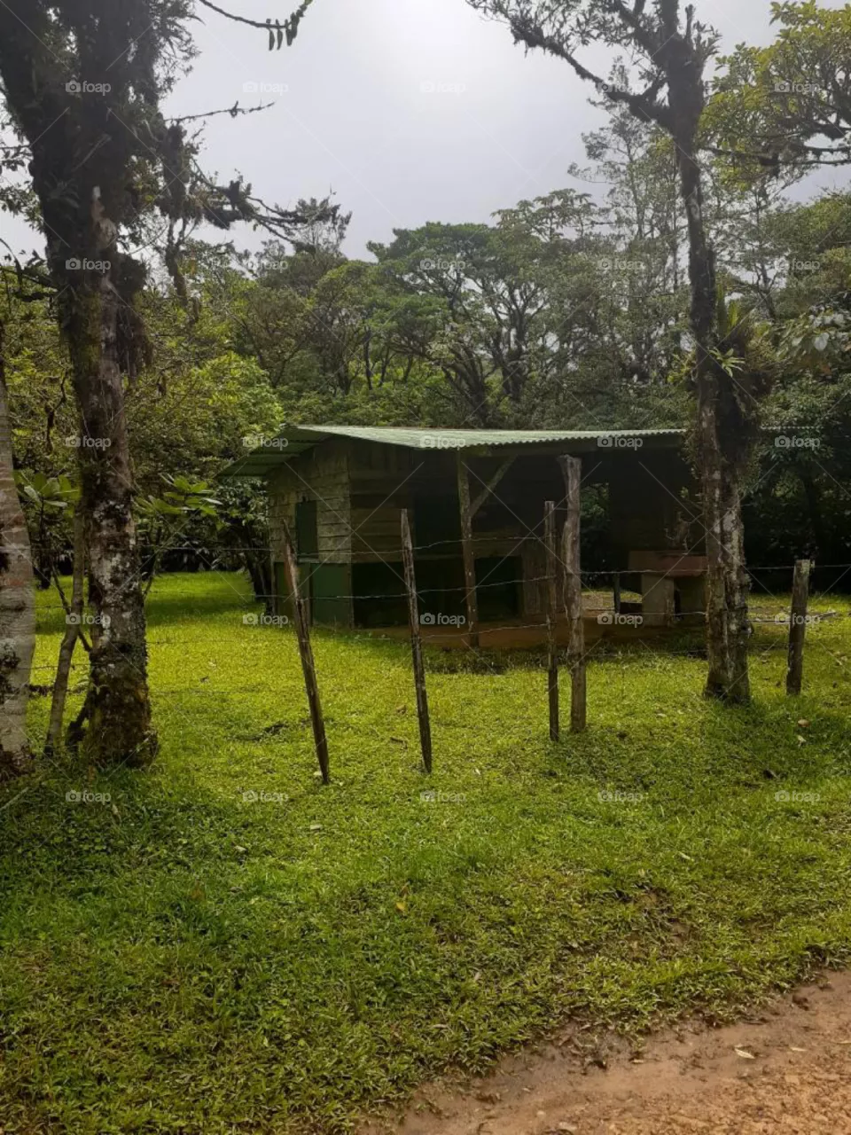A Small Structure in Costa Rica’s Rainforest