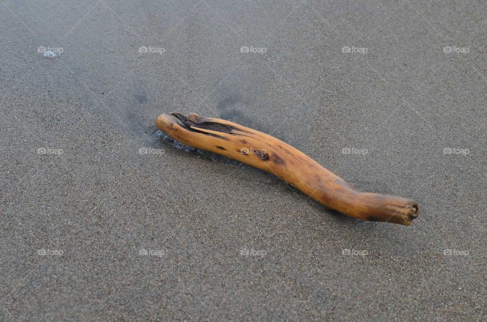 wooden sticks on the beach sand
