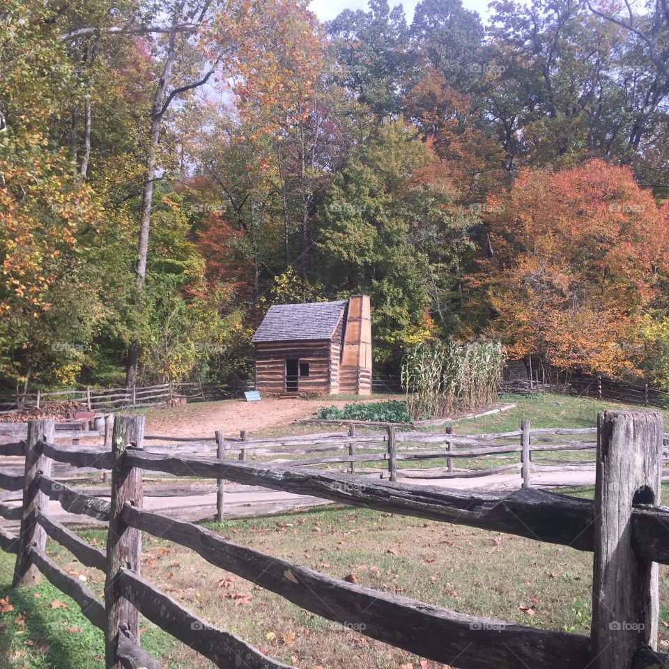 Mt. Vernon grounds