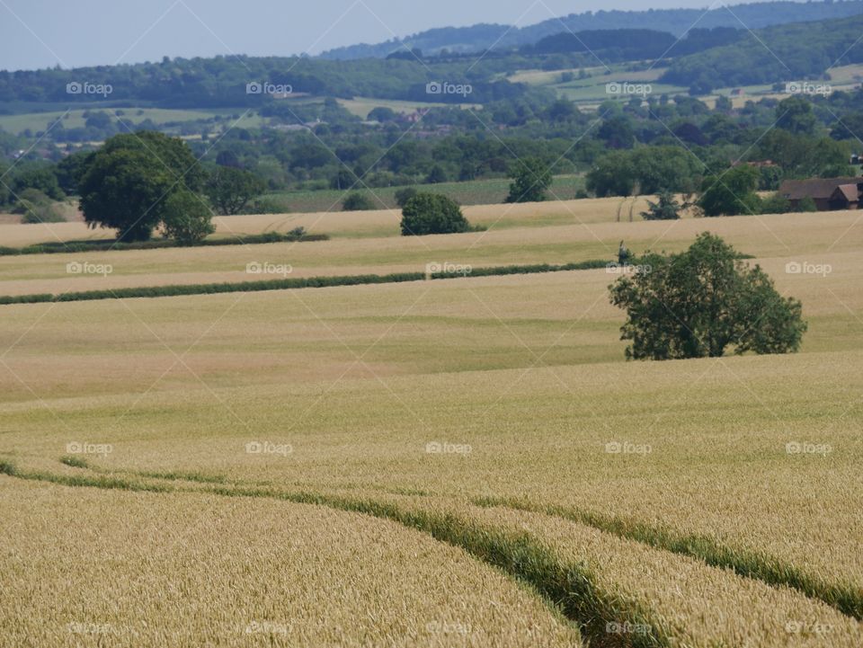 Land. Agriculture