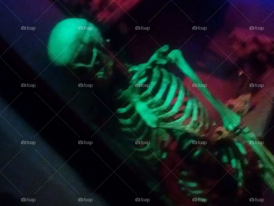 skeletton