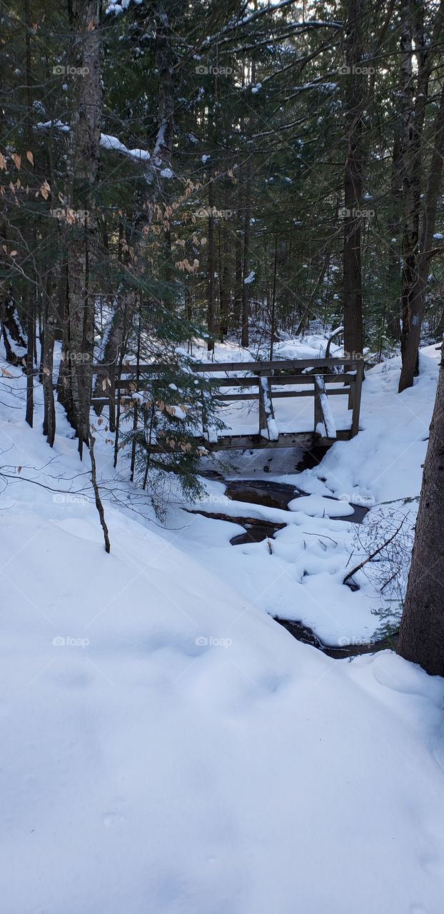 Little snowy bridge
