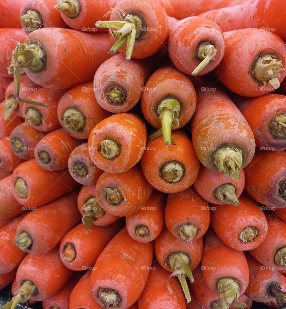 A cenoura é uma raiz nutritiva, saudável e, é    considerada um alimento  funcional, com  vários benefícios  para a saúde.  Mantém a saude do intestino, protege a visão,  regula o açucar no sangue. Rica em Vitamina A, contém Vitamina C, e fibras