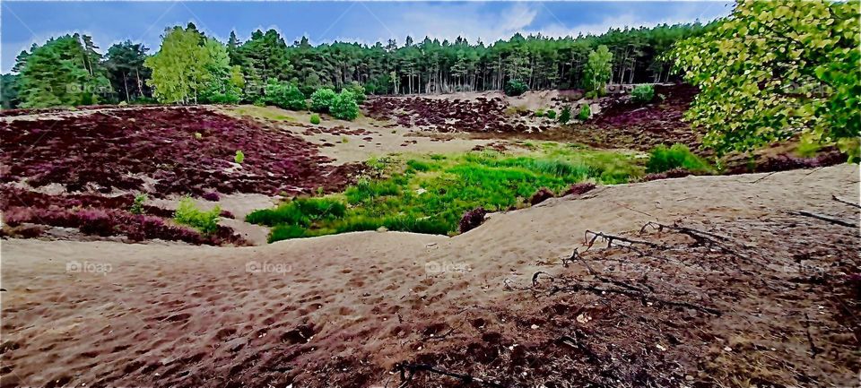 Vast expanses of land are nearly flat or show minimal elevation or changes in altitude. During the summer 2022 entire areas of grassland were also burnt to extended droughts due to lack of rainfall. 2022. Hypnotic Productions