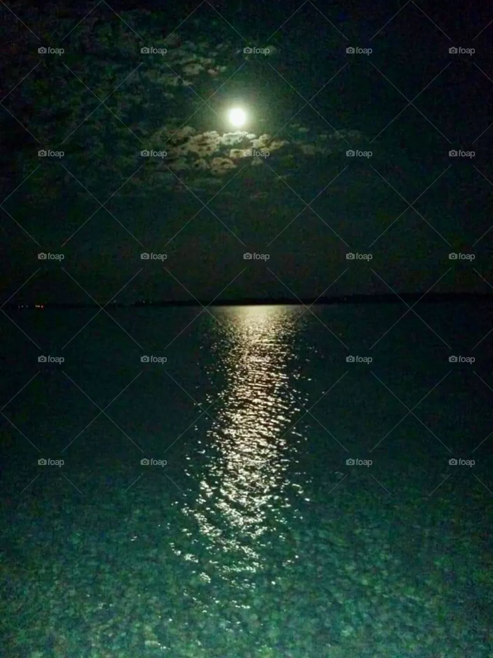 moonlight