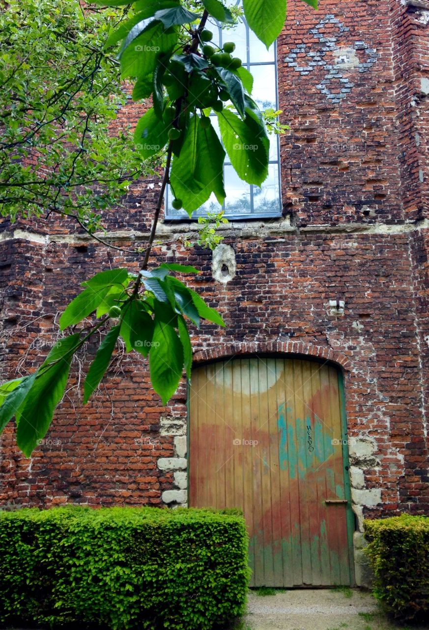 Wall, House, Architecture, Old, Leaf