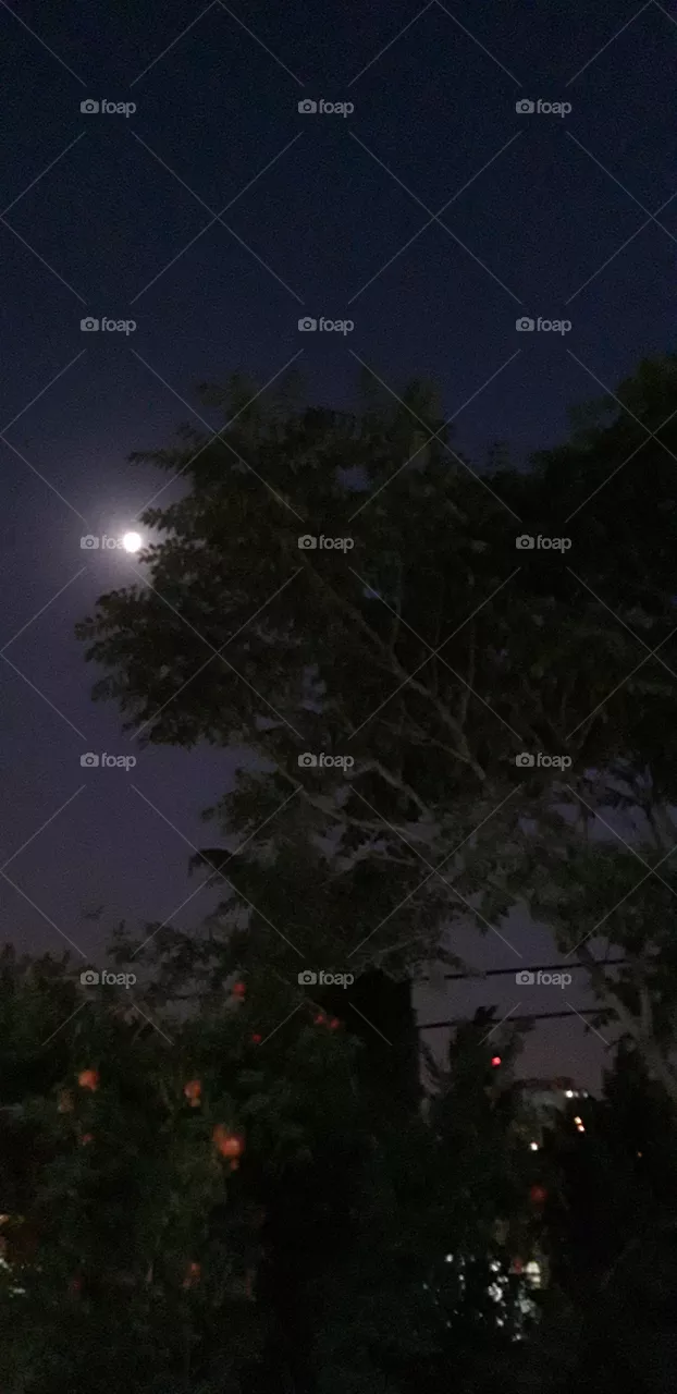 moon
