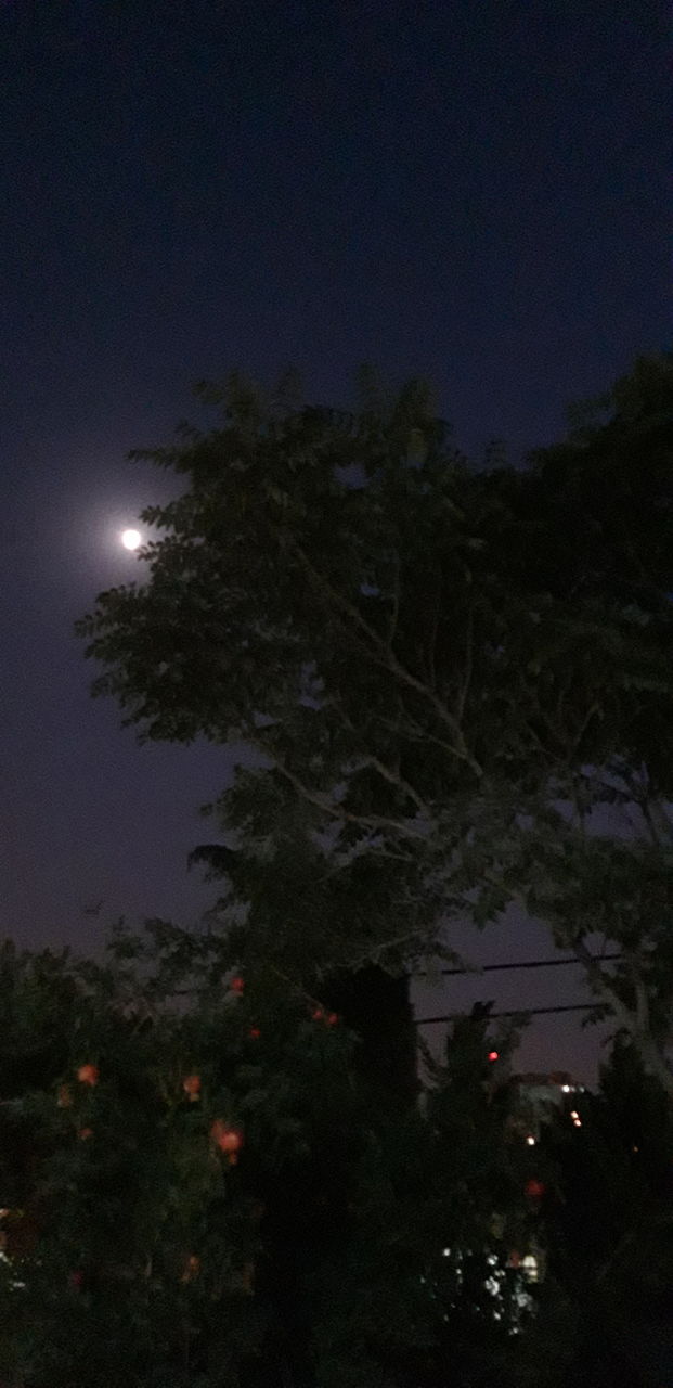 moon