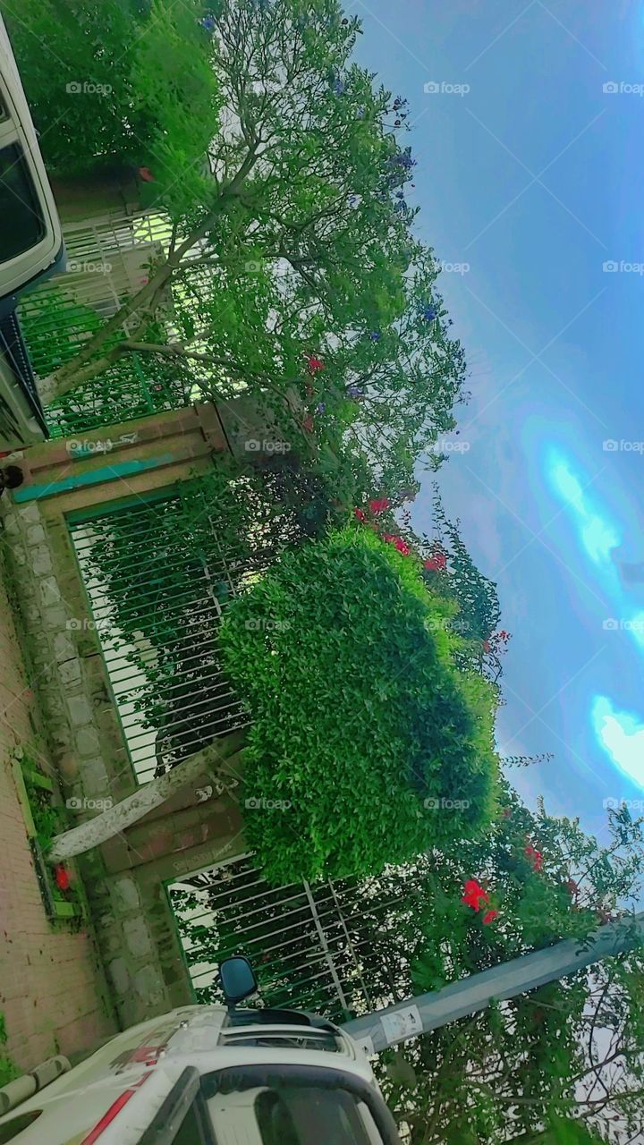 Glory be to God, the magnificent and picturesque view and the natural green trees are a view that is nothing more wonderful than it