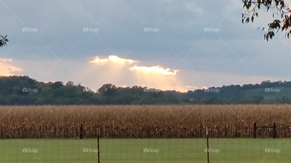 getting ready to rain.