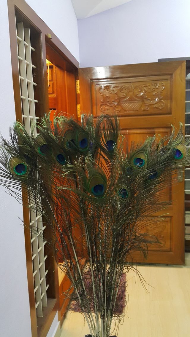creativity