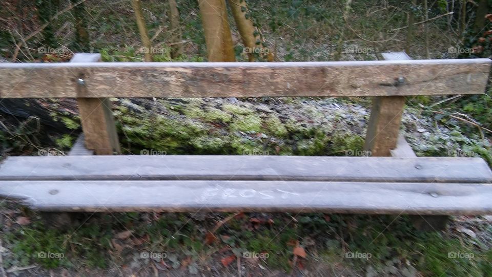 A Frosty Bench