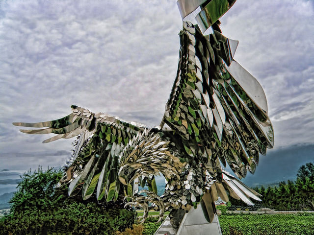 POWER OF FLIGHT 2