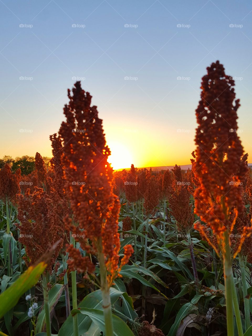 sunset - first day of autumn 2016