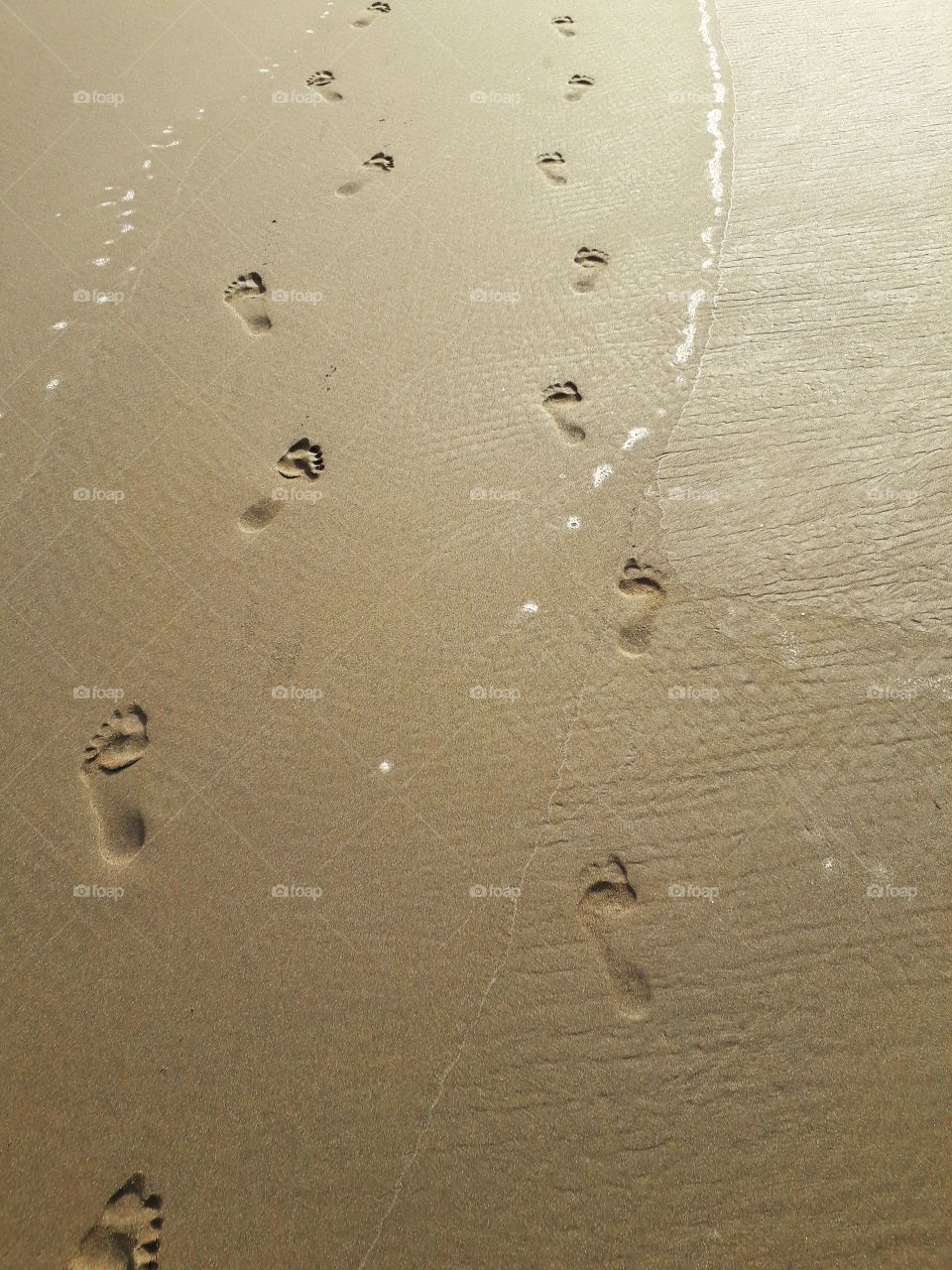 footprint