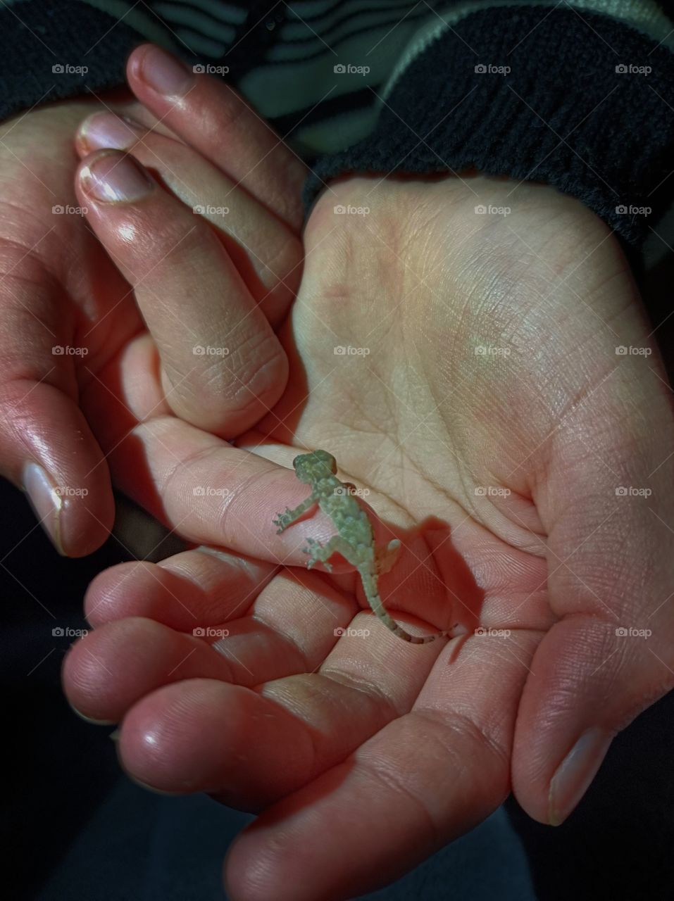 child with lizard in hand