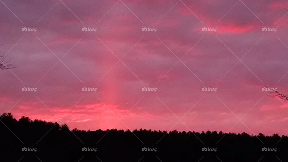 sunrise in pink