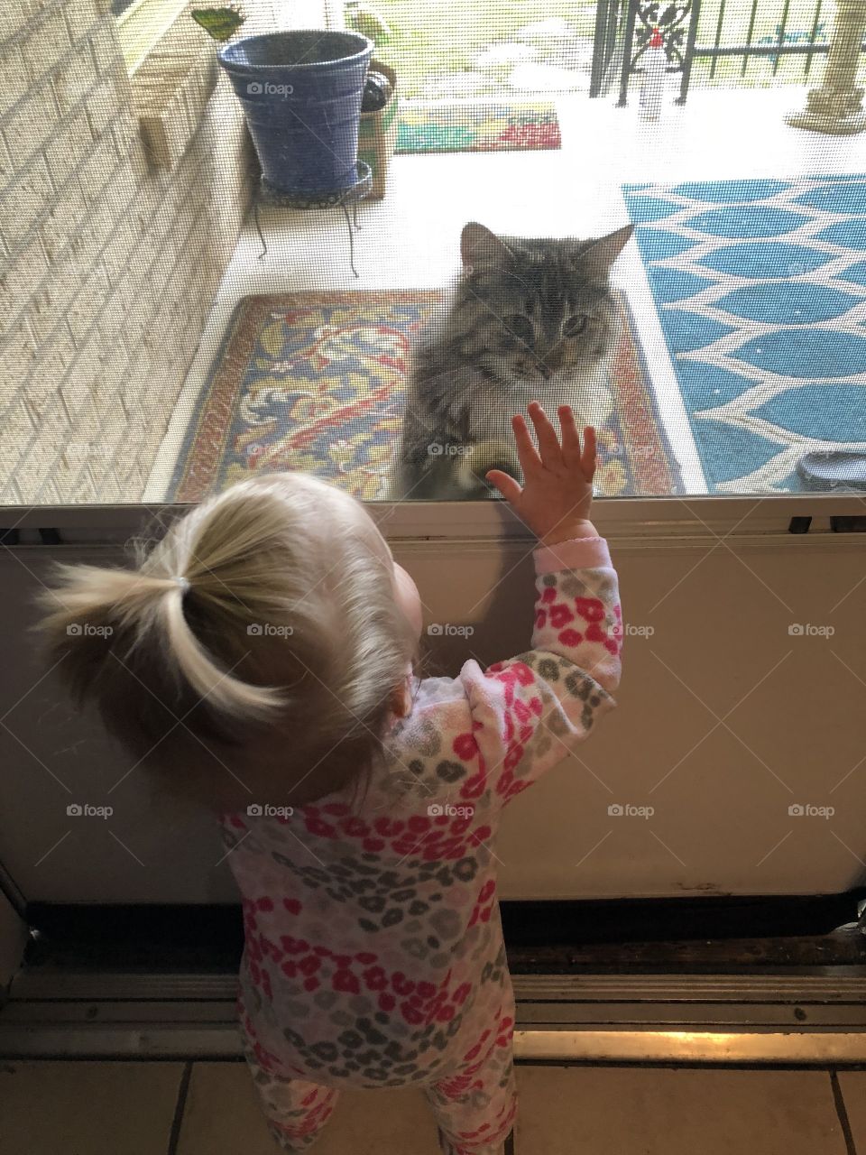 Baby meets cat